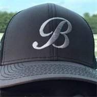 Brigantine Baseball and Softball Association